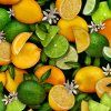 FQ - citrony 500071